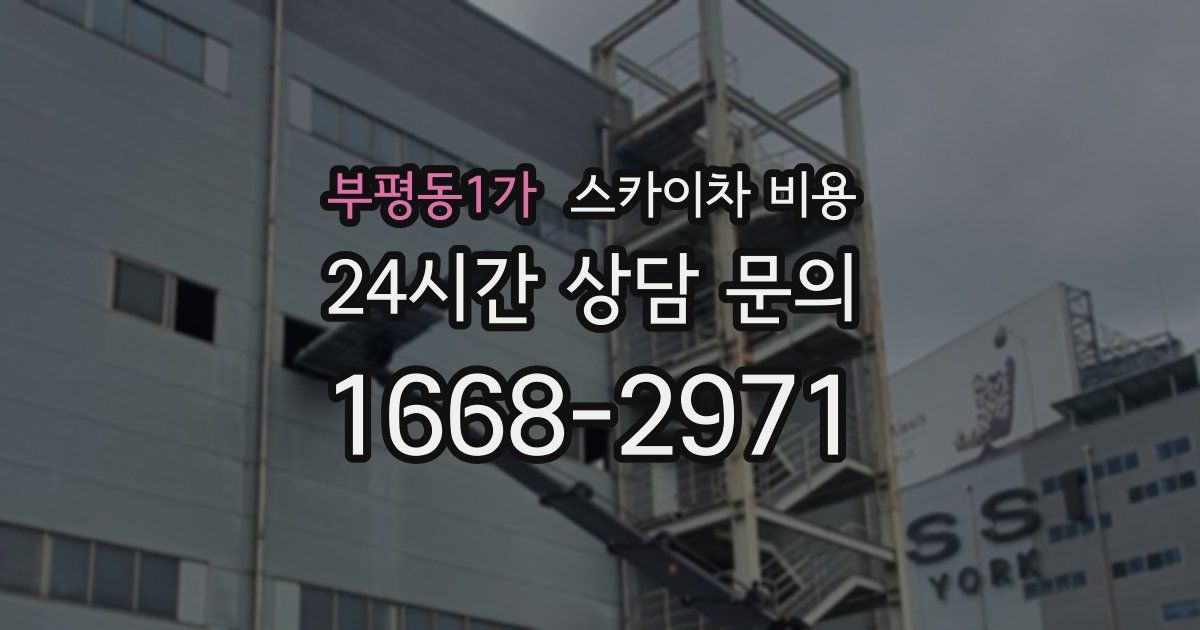 부평동1가 스카이차 비용