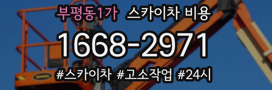 부평동1가 스카이차 비용