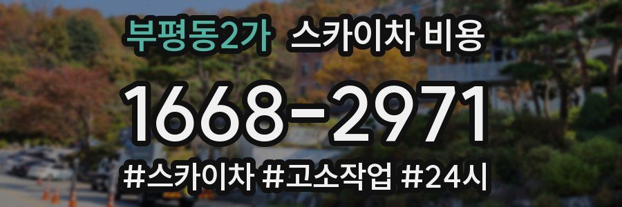 부평동2가 스카이차 비용