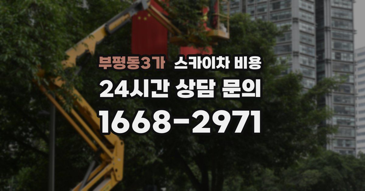 부평동3가 스카이차 비용