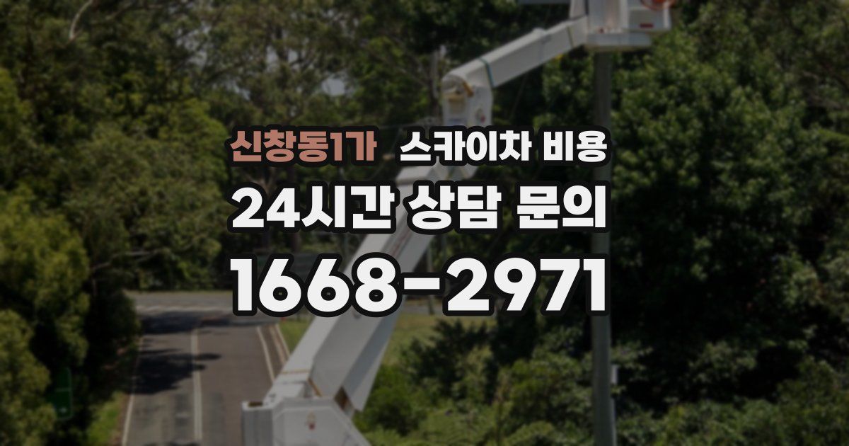 신창동1가 스카이차 비용