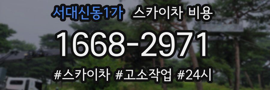 서대신동1가 스카이차 비용