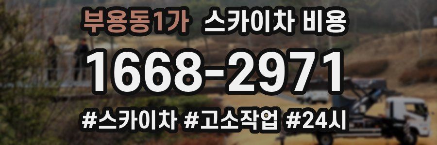 부용동1가 스카이차 비용