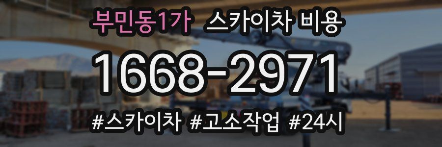 부민동1가 스카이차 비용