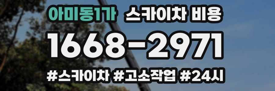 아미동1가 스카이차 비용