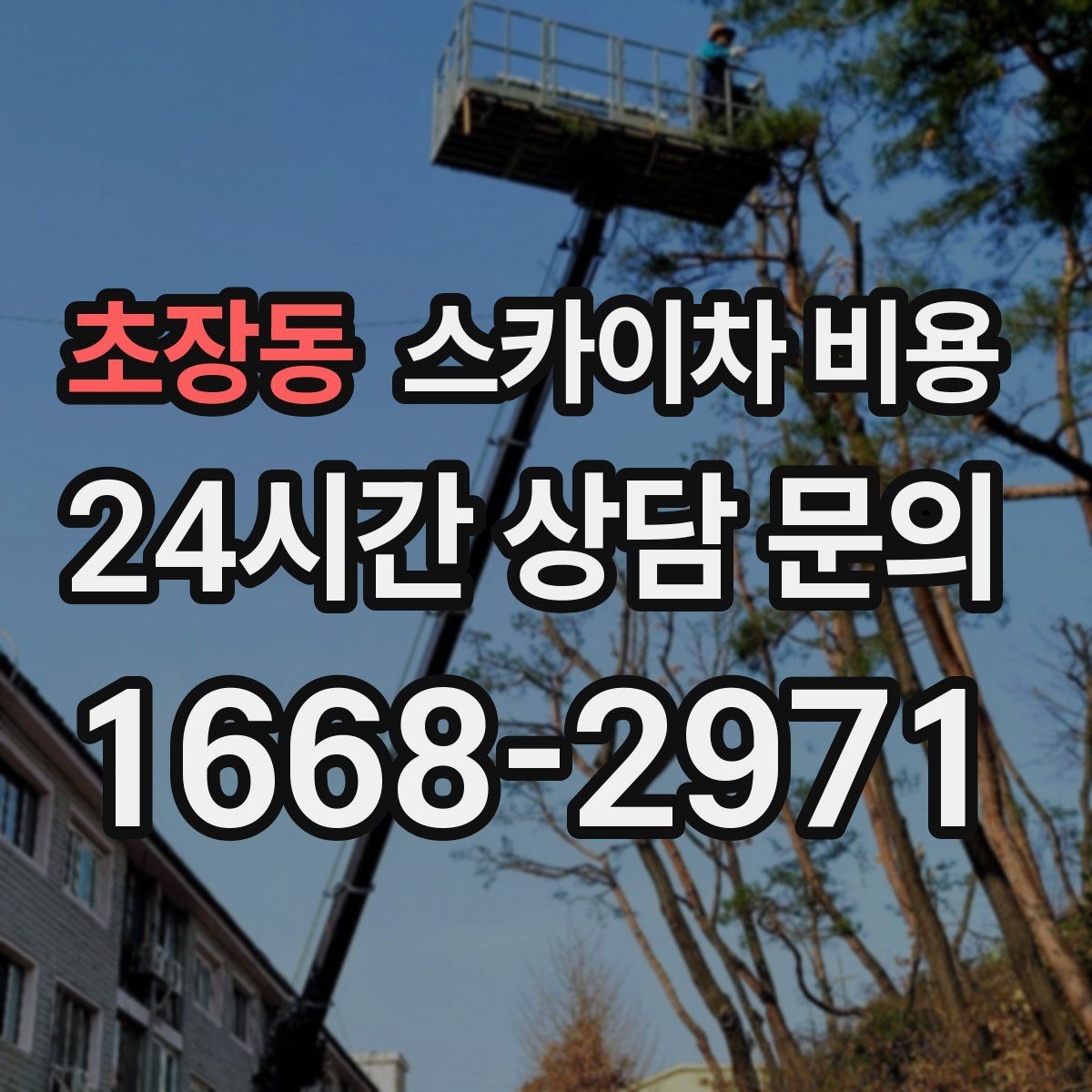 초장동 스카이차 비용 상담 전에 준비하면 좋은 3가지