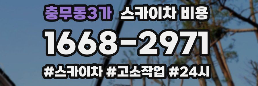 충무동3가 스카이차 비용