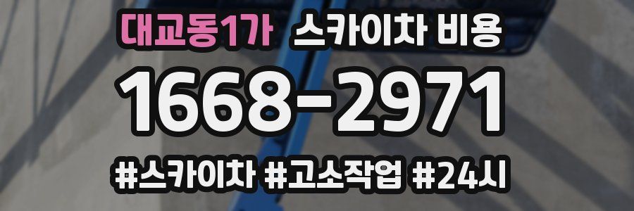 대교동1가 스카이차 비용