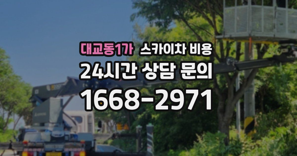 대교동1가 스카이차 비용