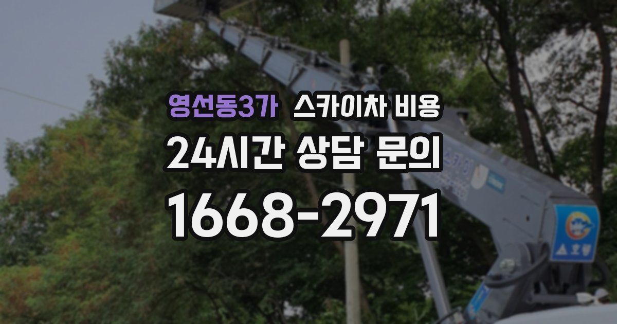 영선동3가 스카이차 비용