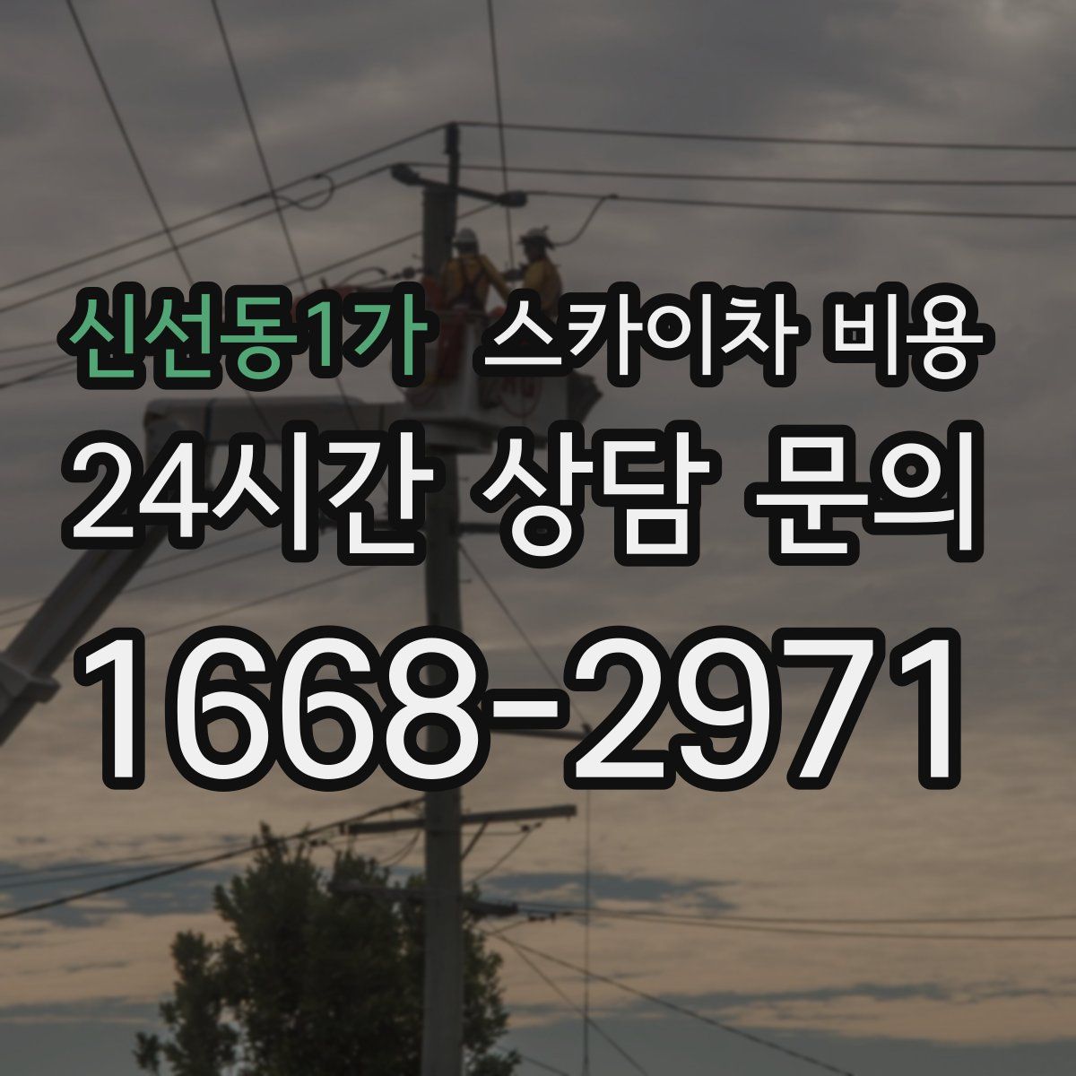 신선동1가 스카이차 비용