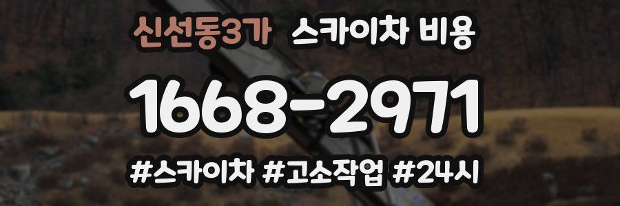 신선동3가 스카이차 비용