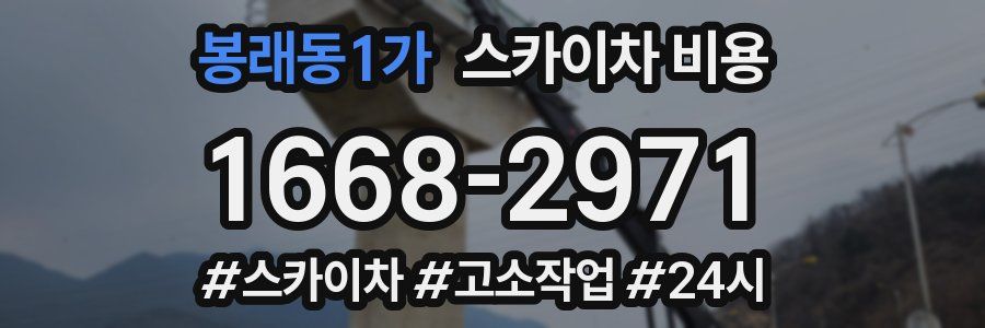 봉래동1가 스카이차 비용