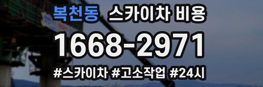 복천동 스카이차 비용