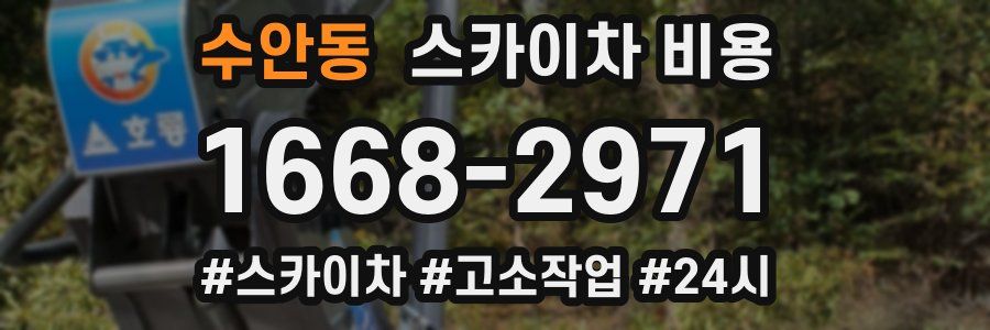 수안동 스카이차 비용