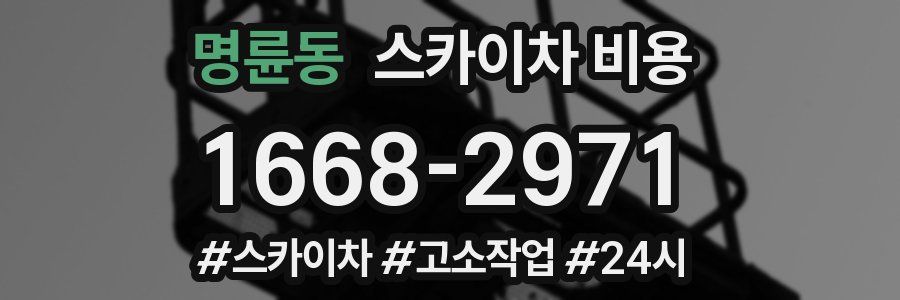 명륜동 스카이차 비용