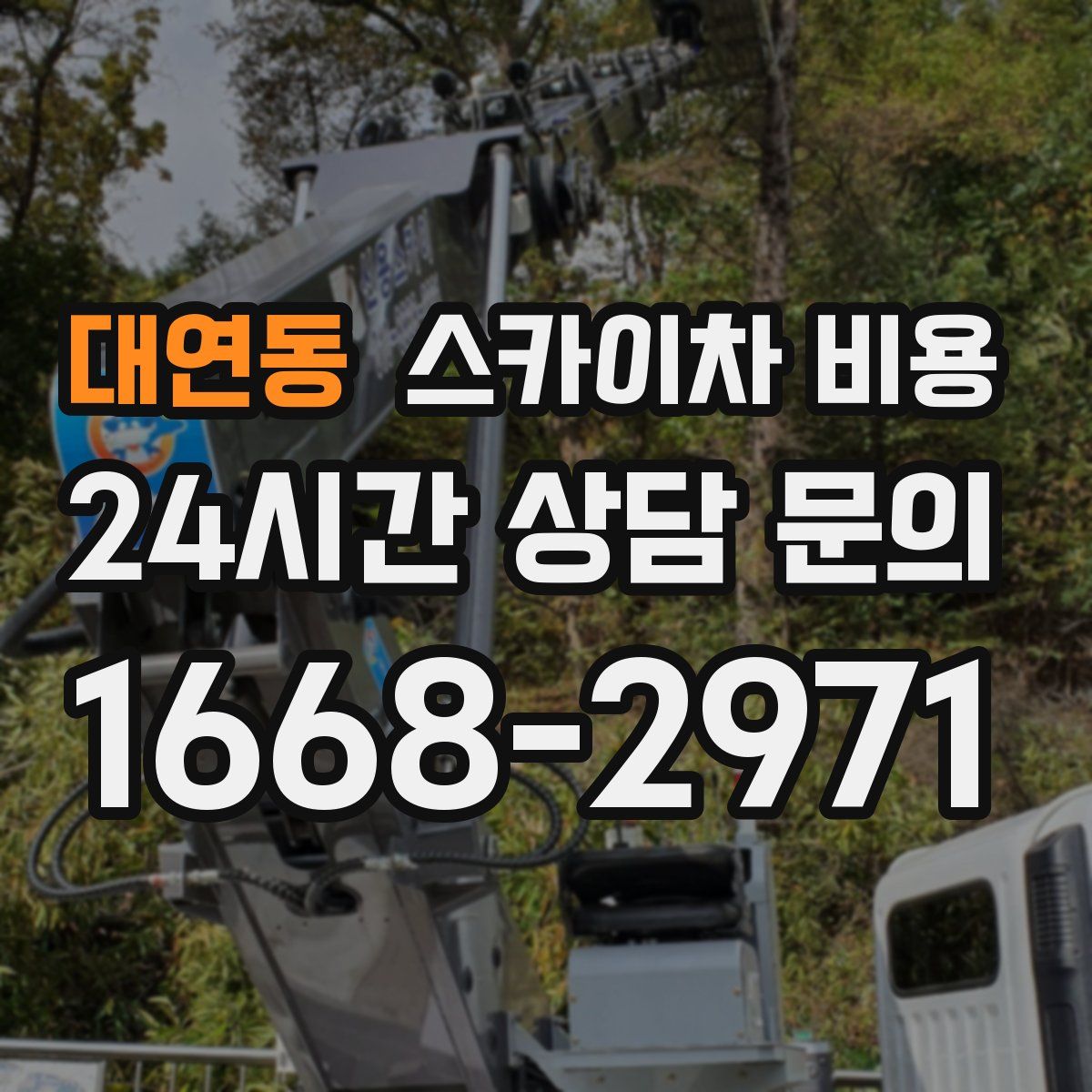 대연동 스카이차 비용