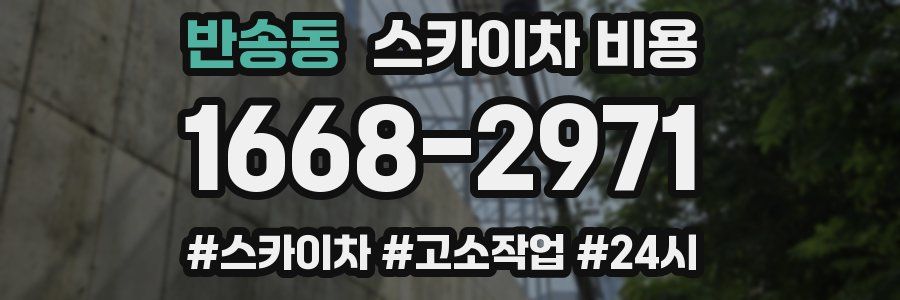 반송동 스카이차 비용