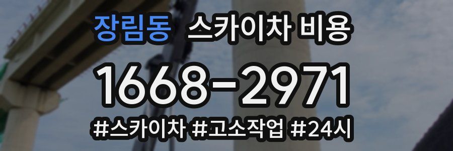 장림동 스카이차 비용