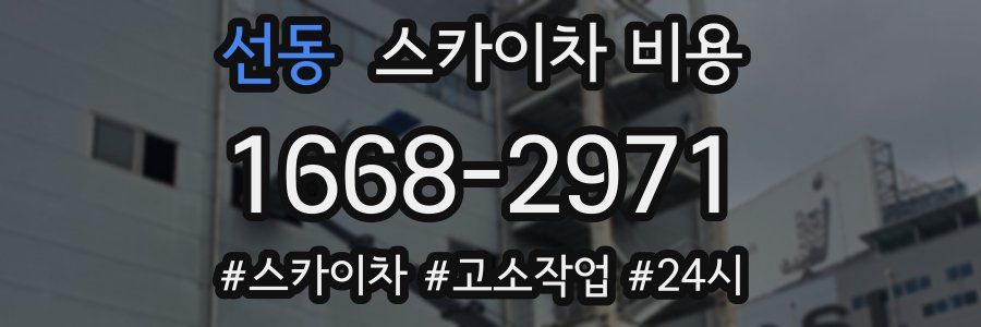 선동 스카이차 비용