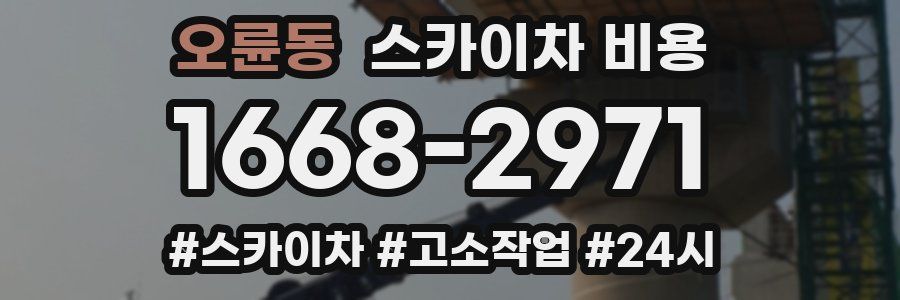 오륜동 스카이차 비용