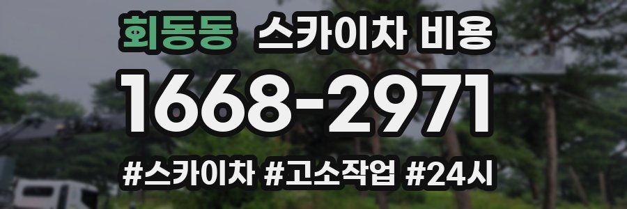 회동동 스카이차 비용