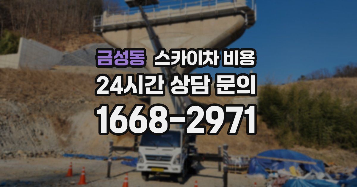 금성동 스카이차 비용