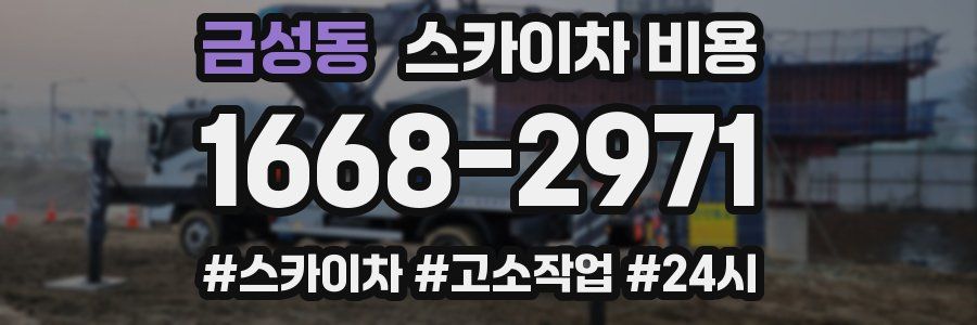 금성동 스카이차 비용