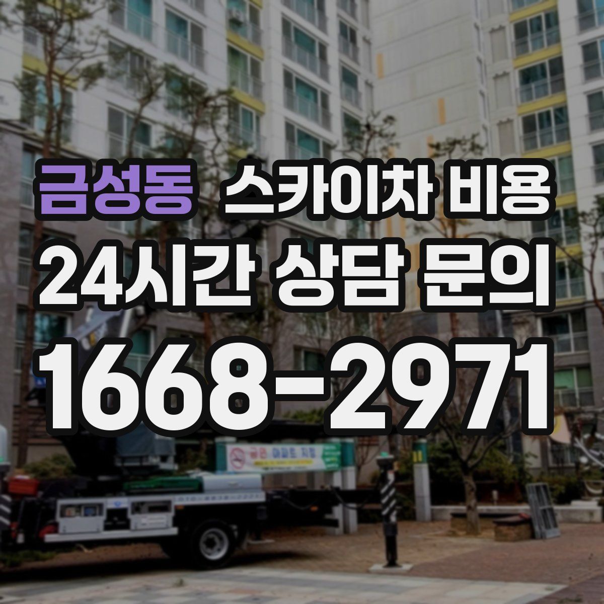 금성동 스카이차 비용