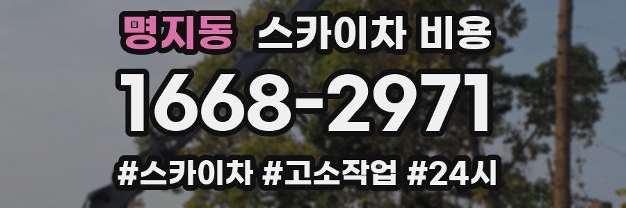 명지동 스카이차 비용