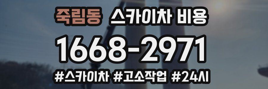 죽림동 스카이차 비용