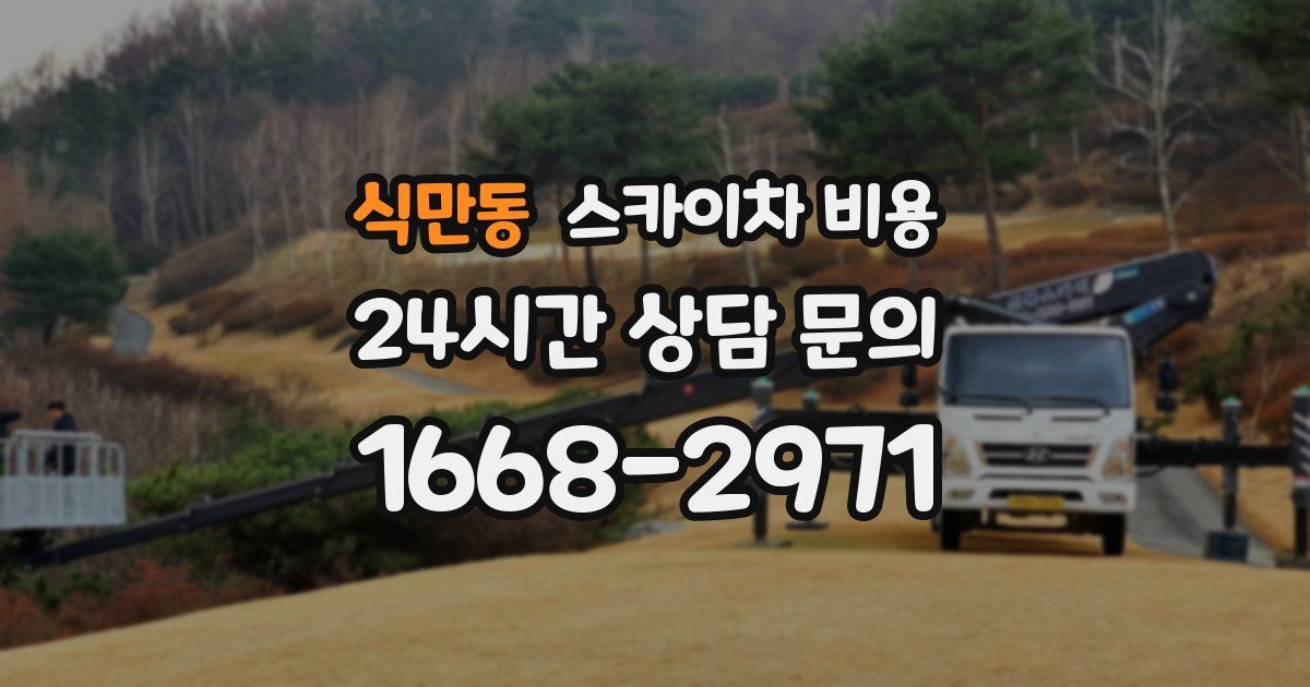 식만동 스카이차 비용