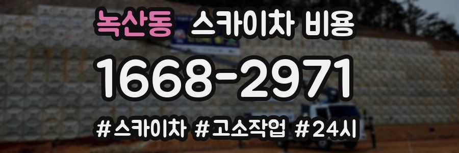 녹산동 스카이차 비용