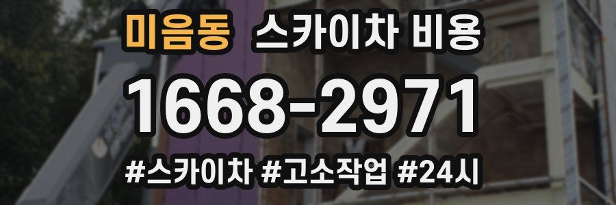 미음동 스카이차 비용