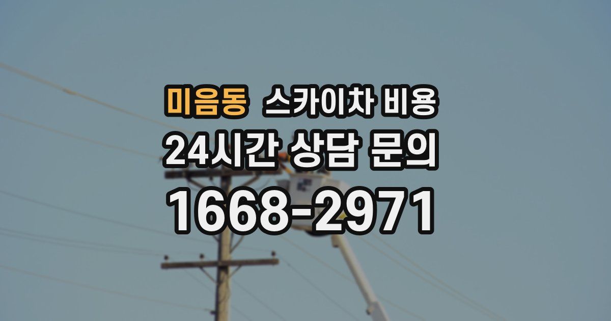 미음동 스카이차 비용