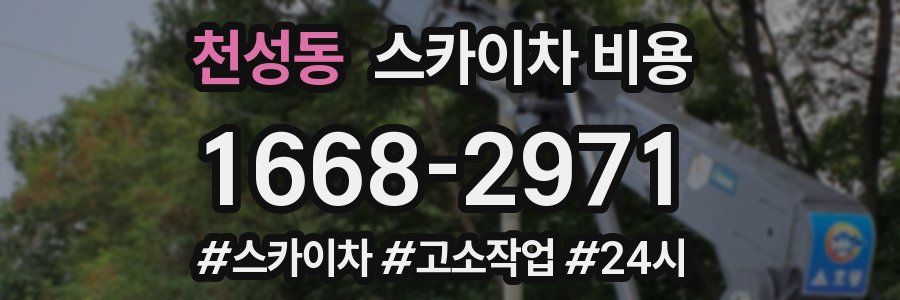 천성동 스카이차 비용