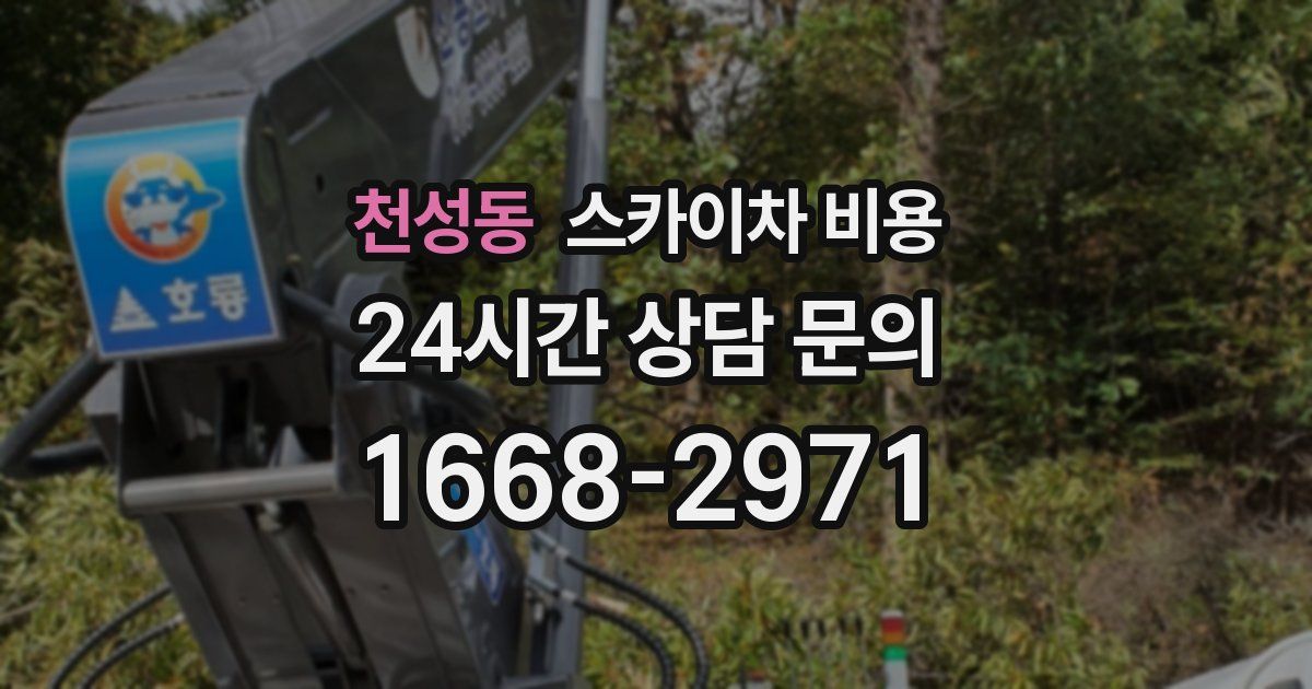 천성동 스카이차 비용