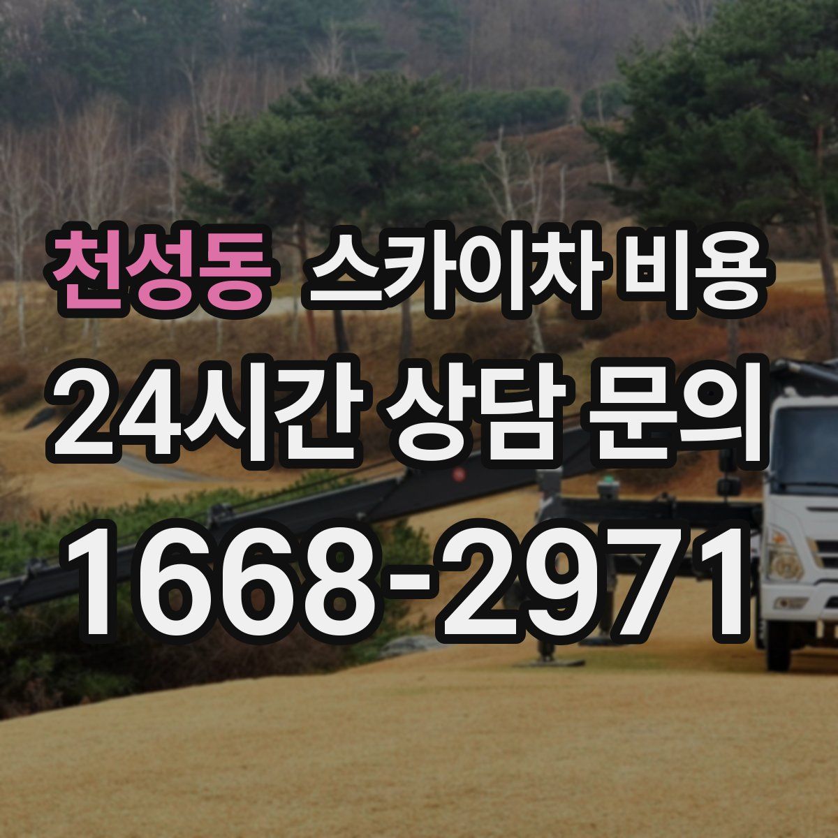 천성동 스카이차 비용