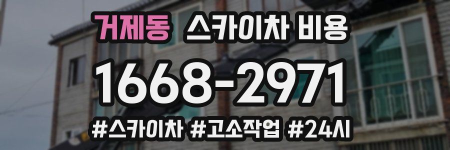 거제동 스카이차 비용