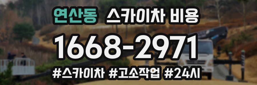 연산동 스카이차 비용