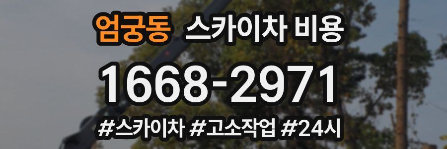 엄궁동 스카이차 비용