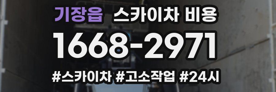 기장읍 스카이차 비용