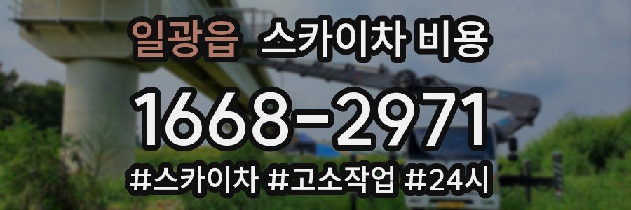 일광읍 스카이차 비용