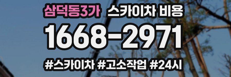 삼덕동3가 스카이차 비용