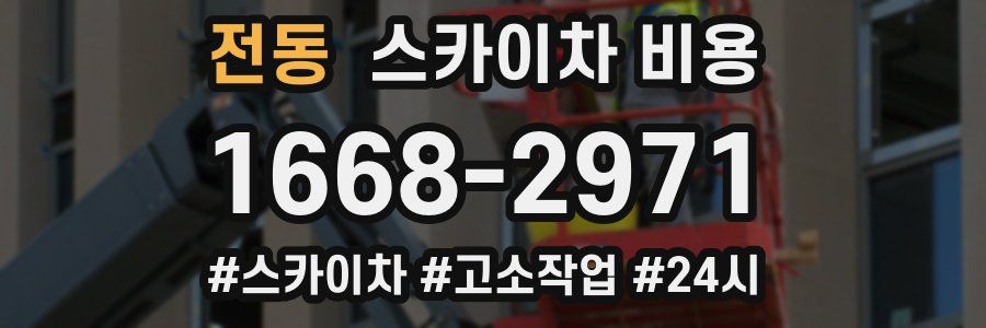 전동 스카이차 비용