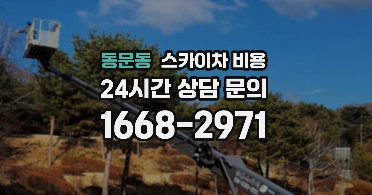 동문동 스카이차 비용