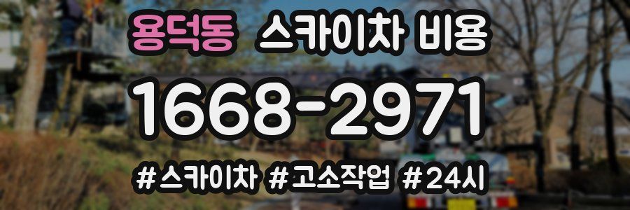 용덕동 스카이차 비용