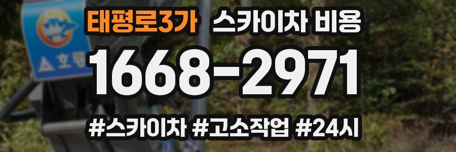 태평로3가 스카이차 비용