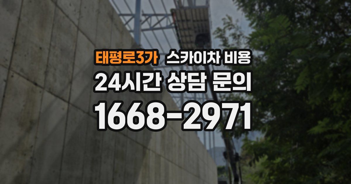 태평로3가 스카이차 비용