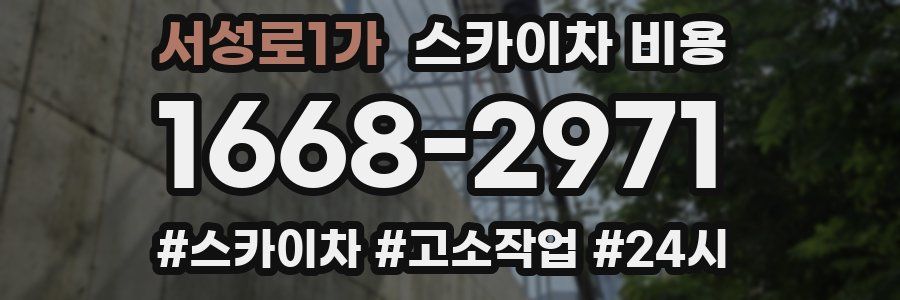 서성로1가 스카이차 비용